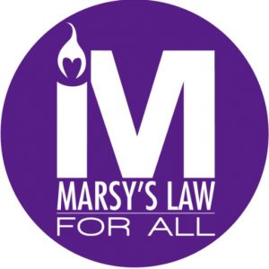 marsys law